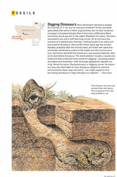 Recent illustrations for National Geographic and other publications.